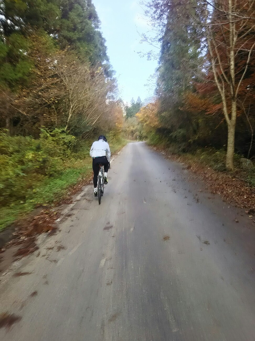 f:id:ikarugasan:20161114195814j:image f:id:ikarugasan:20161114195814j:image