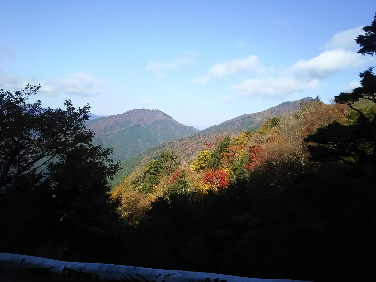 f:id:ikarugasan:20161115072020j:image f:id:ikarugasan:20161115072020j:image