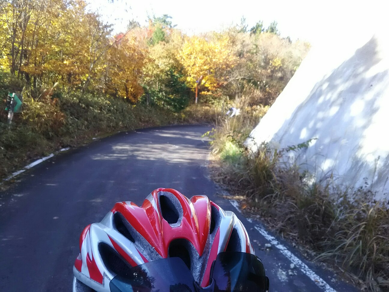 f:id:ikarugasan:20161115072128j:image