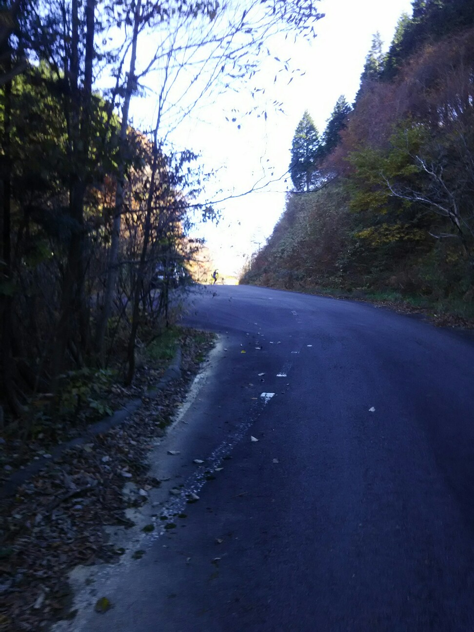 f:id:ikarugasan:20161115072627j:image f:id:ikarugasan:20161115072627j:image