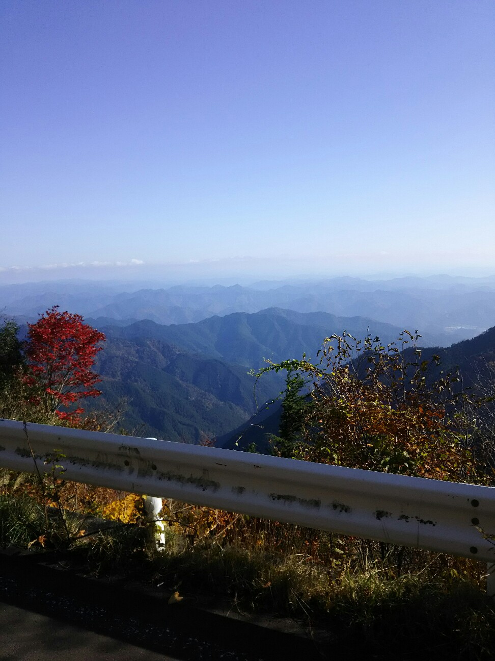 f:id:ikarugasan:20161115073358j:image f:id:ikarugasan:20161115073358j:image