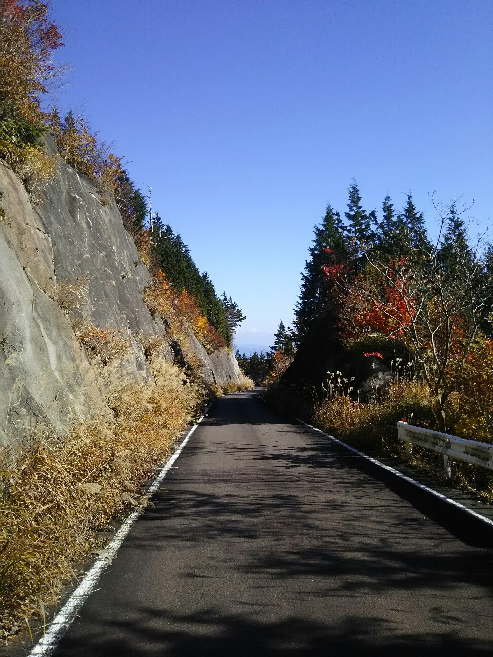 f:id:ikarugasan:20161115073511j:image f:id:ikarugasan:20161115073511j:image