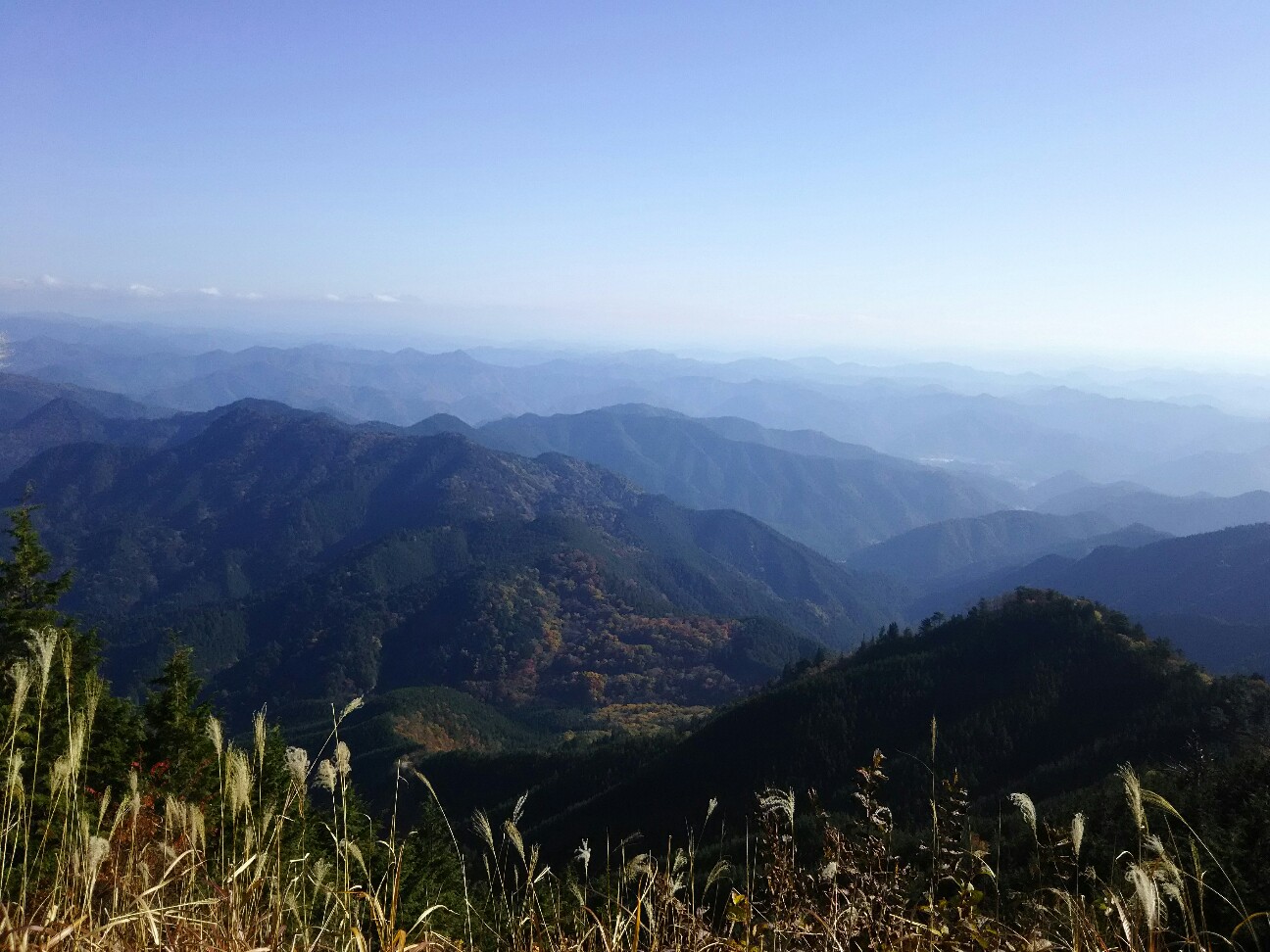 f:id:ikarugasan:20161115073951j:image f:id:ikarugasan:20161115073951j:image