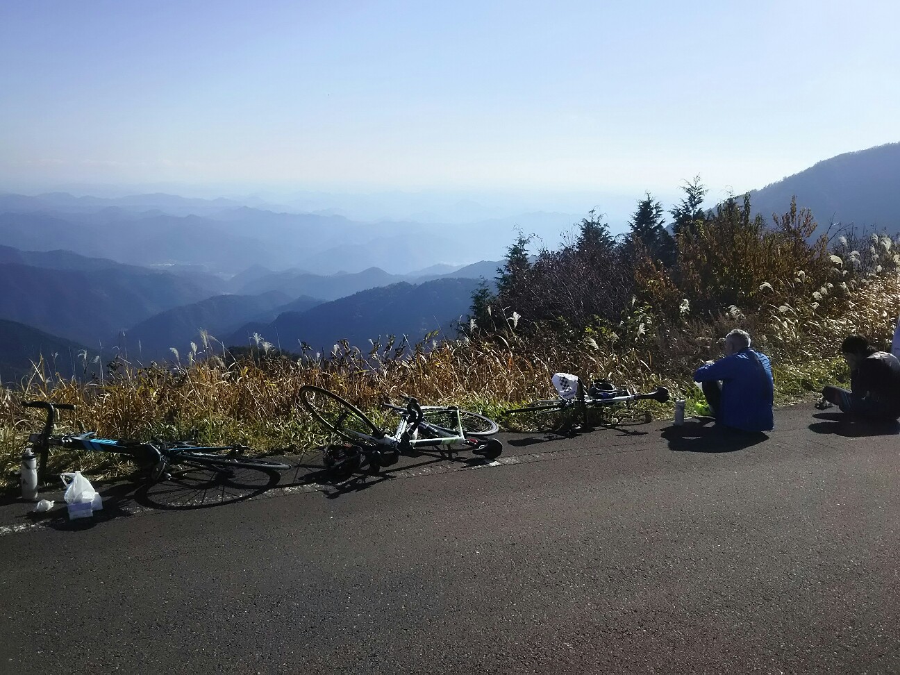 f:id:ikarugasan:20161115074528j:image f:id:ikarugasan:20161115074528j:image