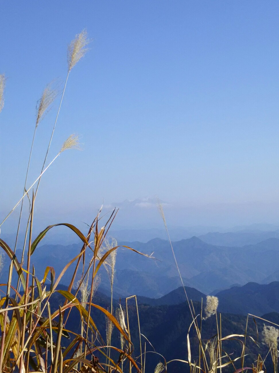 f:id:ikarugasan:20161115074802j:image