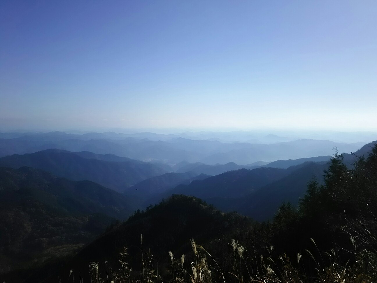 f:id:ikarugasan:20161115115753j:image f:id:ikarugasan:20161115115753j:image