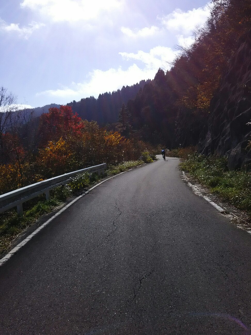 f:id:ikarugasan:20161115193612j:image f:id:ikarugasan:20161115193612j:image