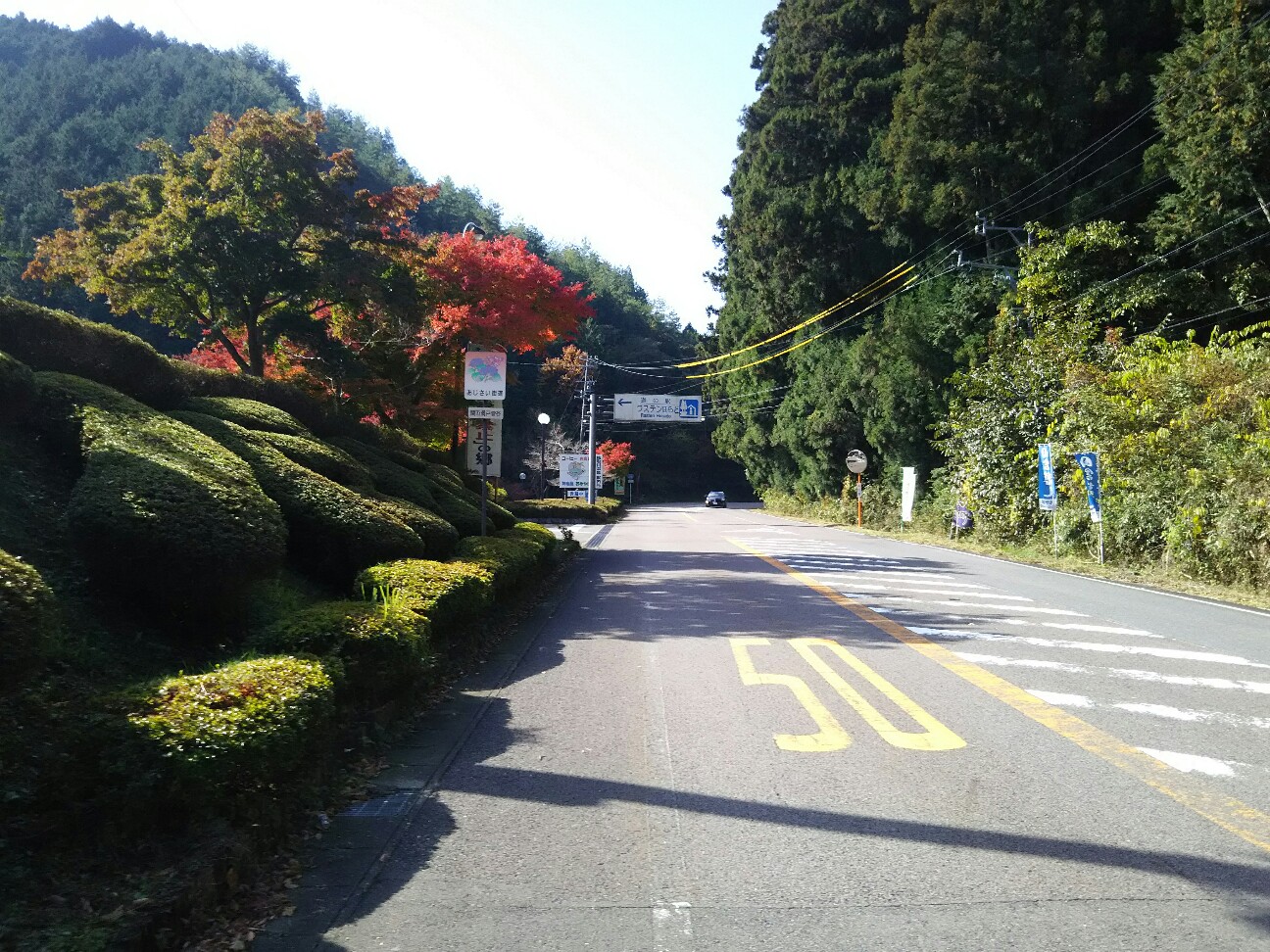 f:id:ikarugasan:20161116072328j:image f:id:ikarugasan:20161116072328j:image