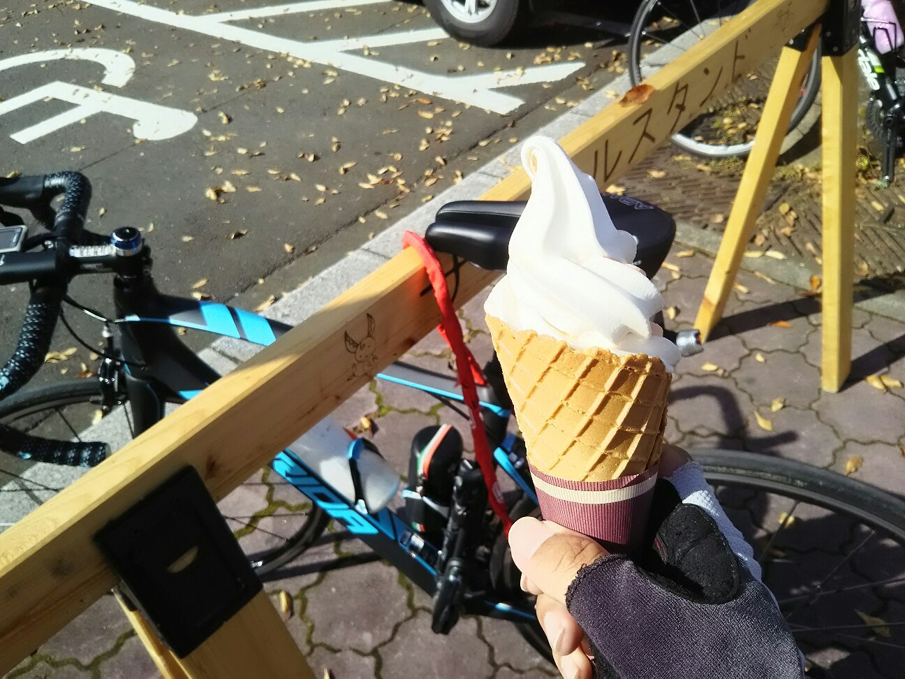 f:id:ikarugasan:20161116072918j:image