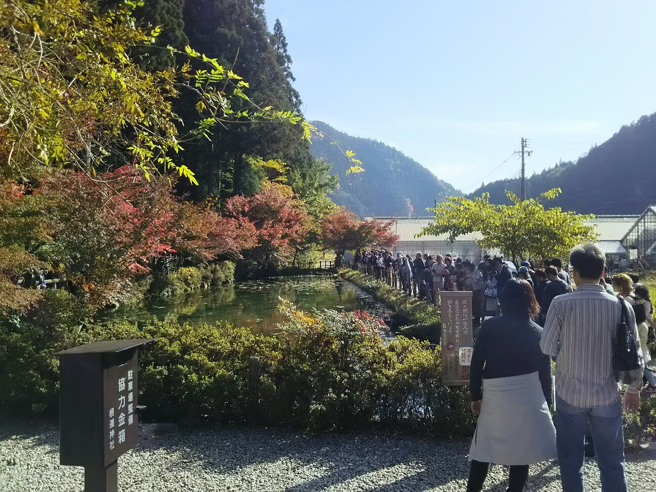 f:id:ikarugasan:20161116193001j:image f:id:ikarugasan:20161116193001j:image