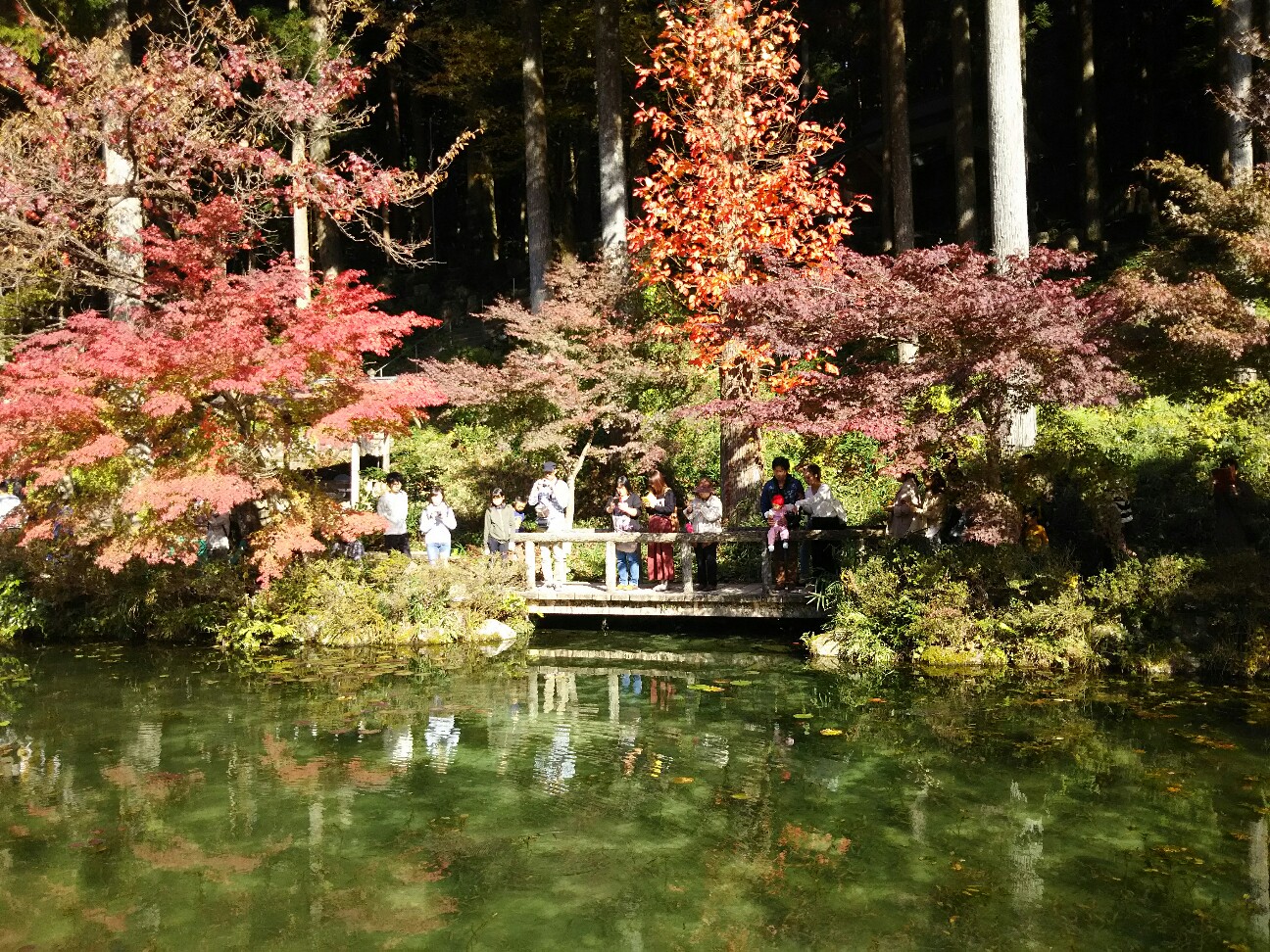 f:id:ikarugasan:20161116193114j:image f:id:ikarugasan:20161116193114j:image