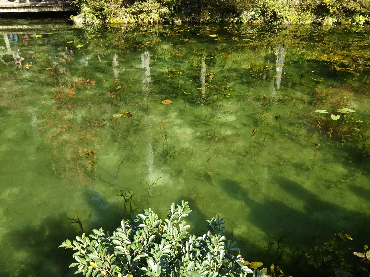 f:id:ikarugasan:20161116193148j:image f:id:ikarugasan:20161116193148j:image