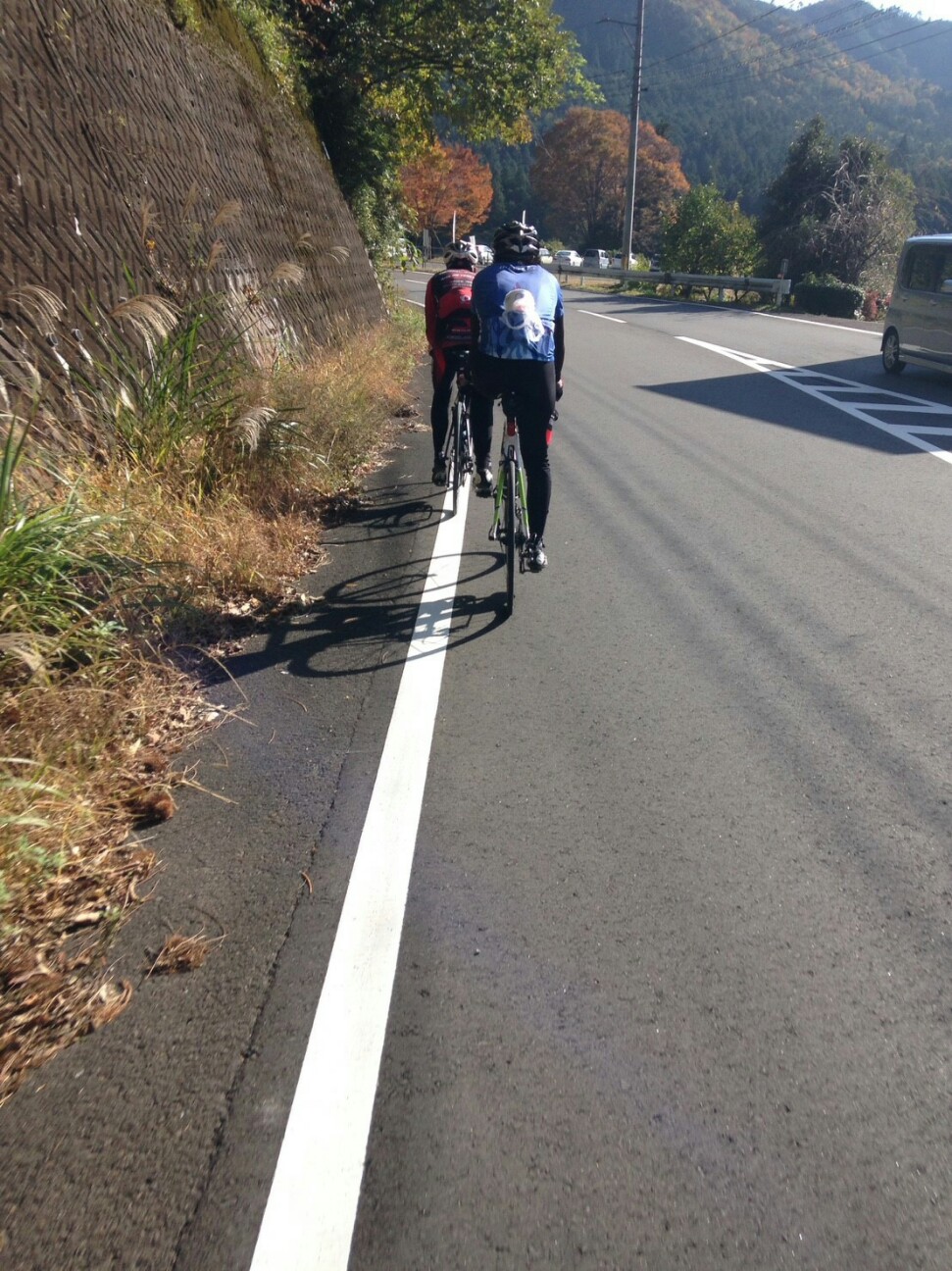 f:id:ikarugasan:20161116200949j:image f:id:ikarugasan:20161116200949j:image