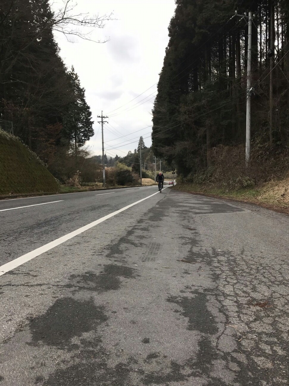 f:id:ikarugasan:20170223204706j:image f:id:ikarugasan:20170223204706j:image