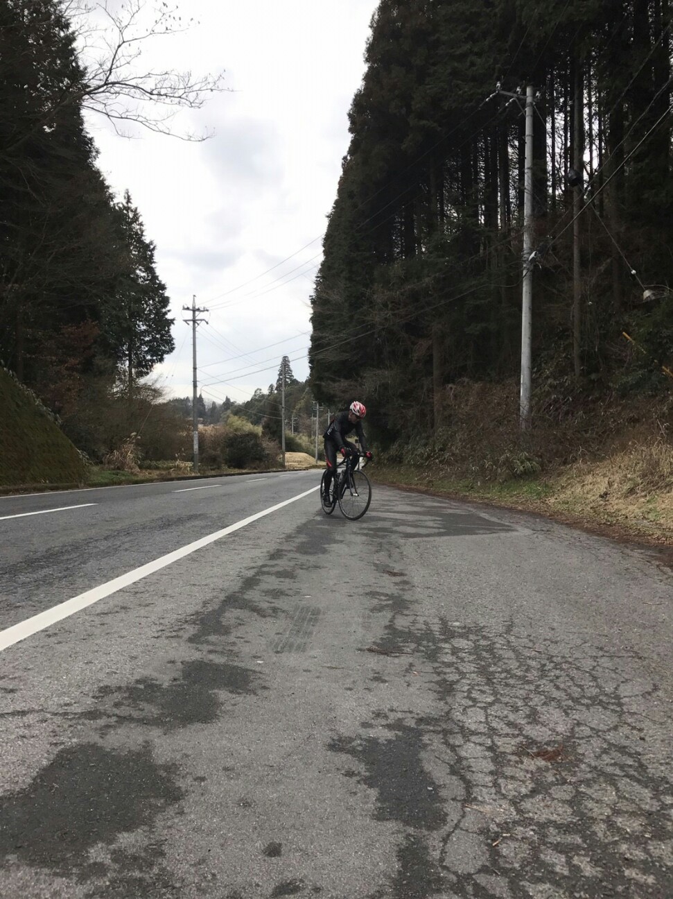 f:id:ikarugasan:20170223204720j:image f:id:ikarugasan:20170223204720j:image