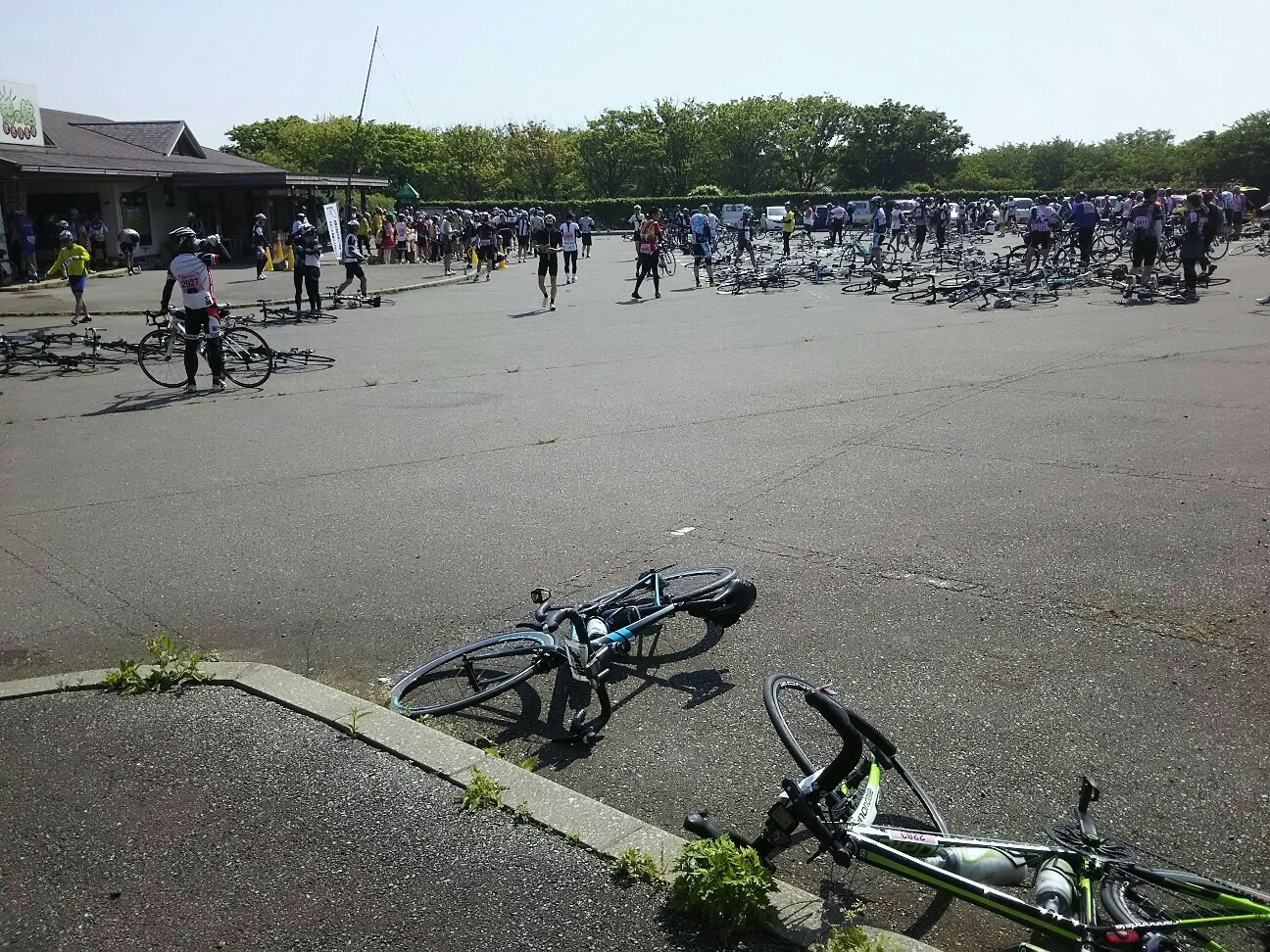 f:id:ikarugasan:20170603064525j:image f:id:ikarugasan:20170603064525j:image