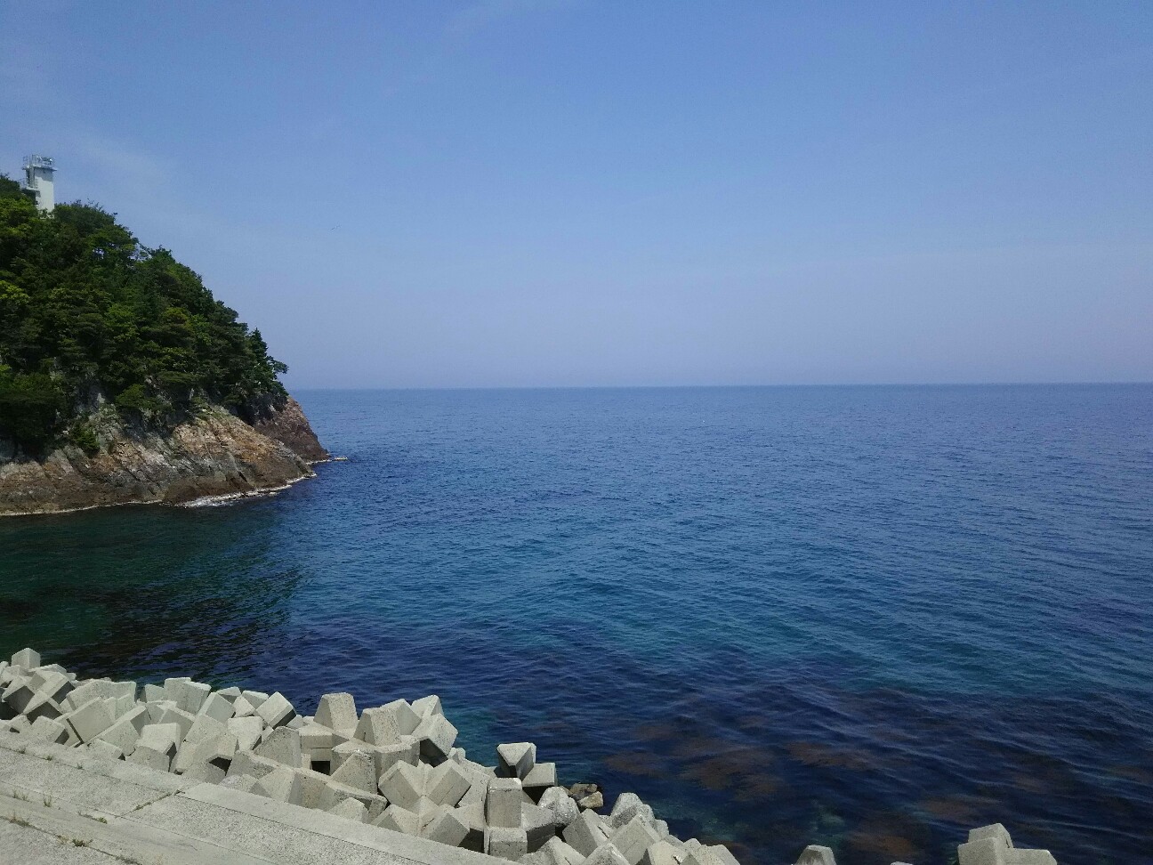 f:id:ikarugasan:20170604142616j:image f:id:ikarugasan:20170604142616j:image