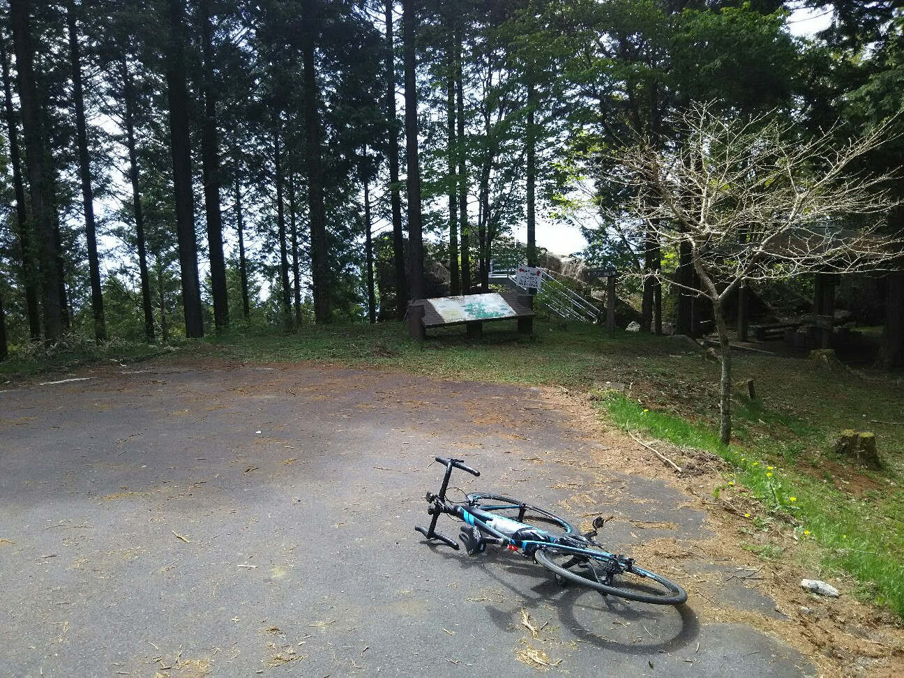 f:id:ikarugasan:20180507073717j:image