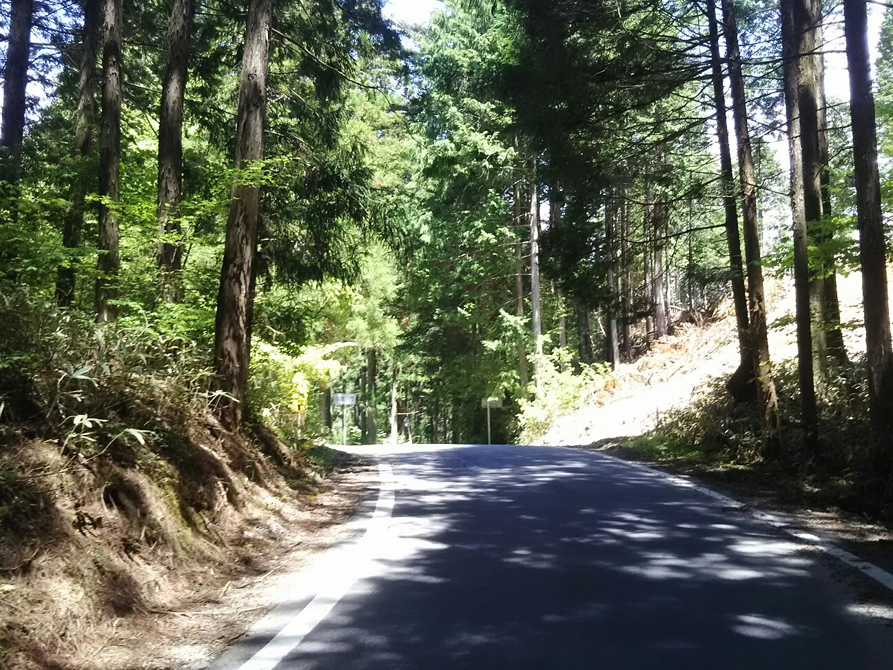 f:id:ikarugasan:20180507074432j:image