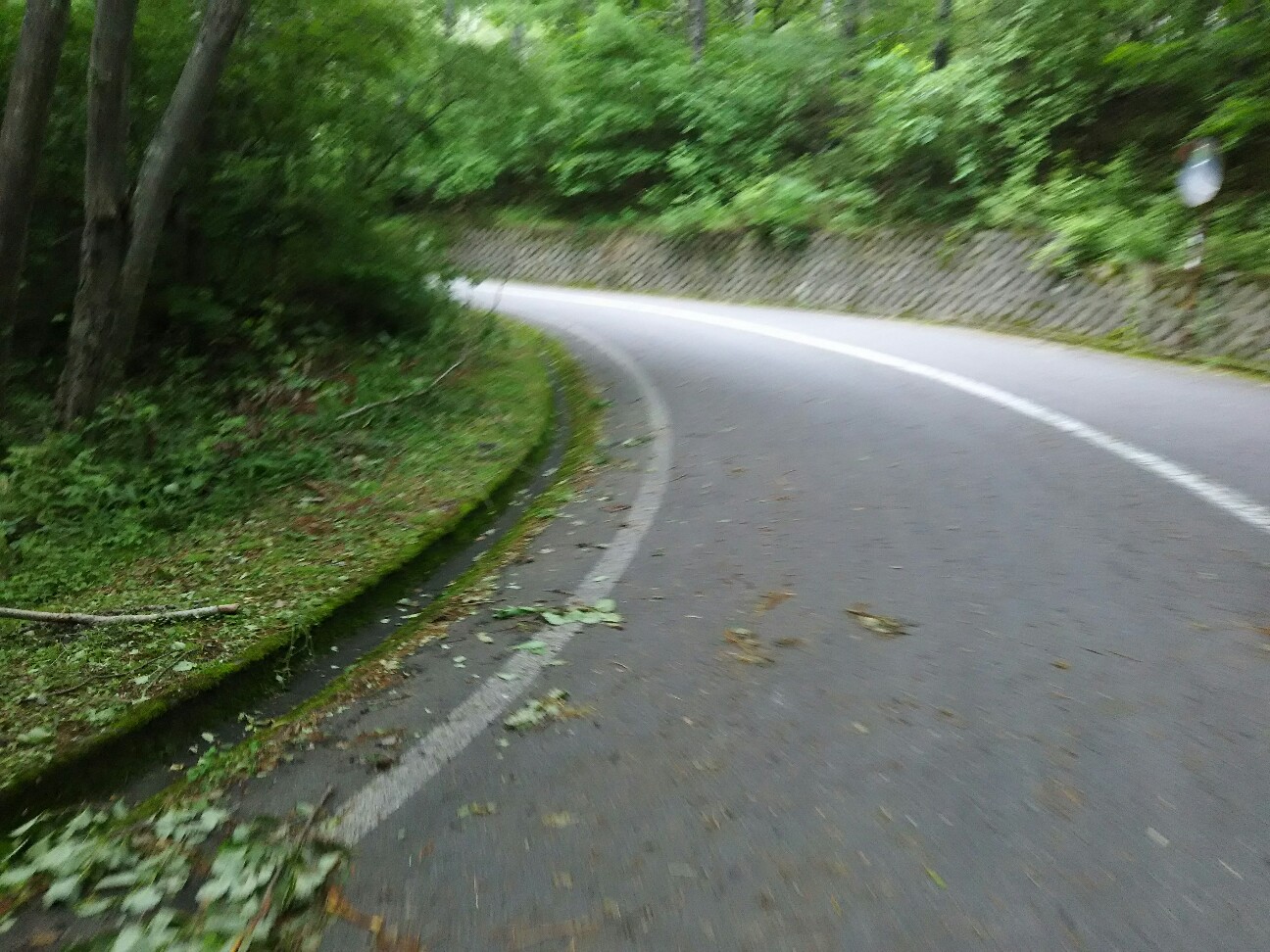 f:id:ikarugasan:20180712195135j:image