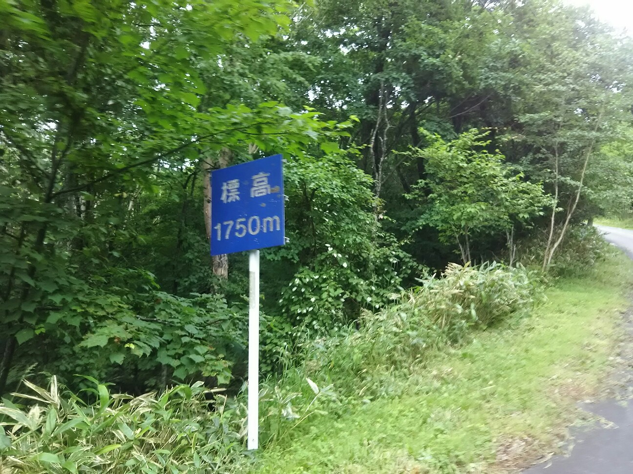 f:id:ikarugasan:20180712195155j:image