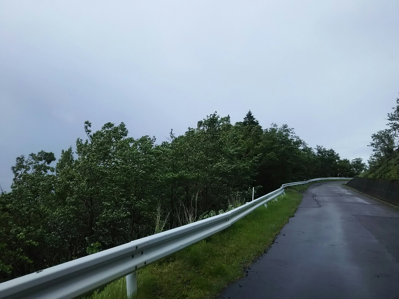 f:id:ikarugasan:20180713200521j:image