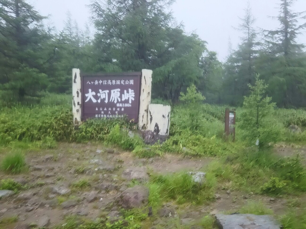 f:id:ikarugasan:20180713201146j:image