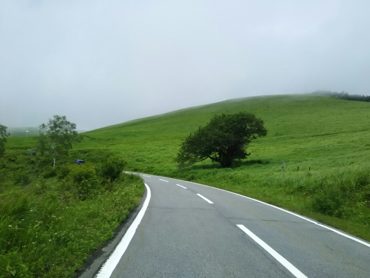 f:id:ikarugasan:20180719121903j:image f:id:ikarugasan:20180719121903j:image
