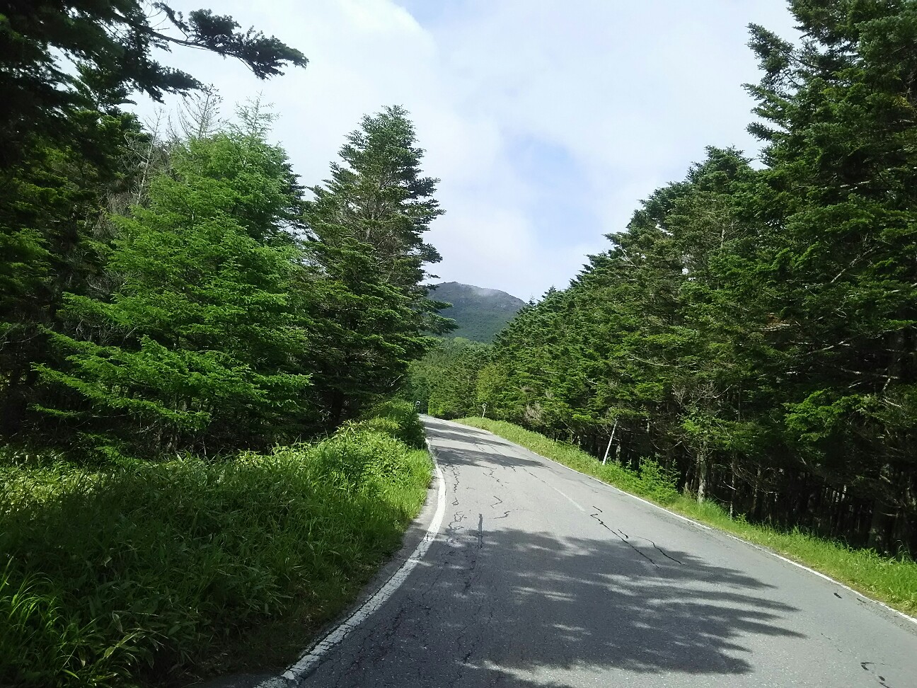 f:id:ikarugasan:20180719184825j:image f:id:ikarugasan:20180719184825j:image