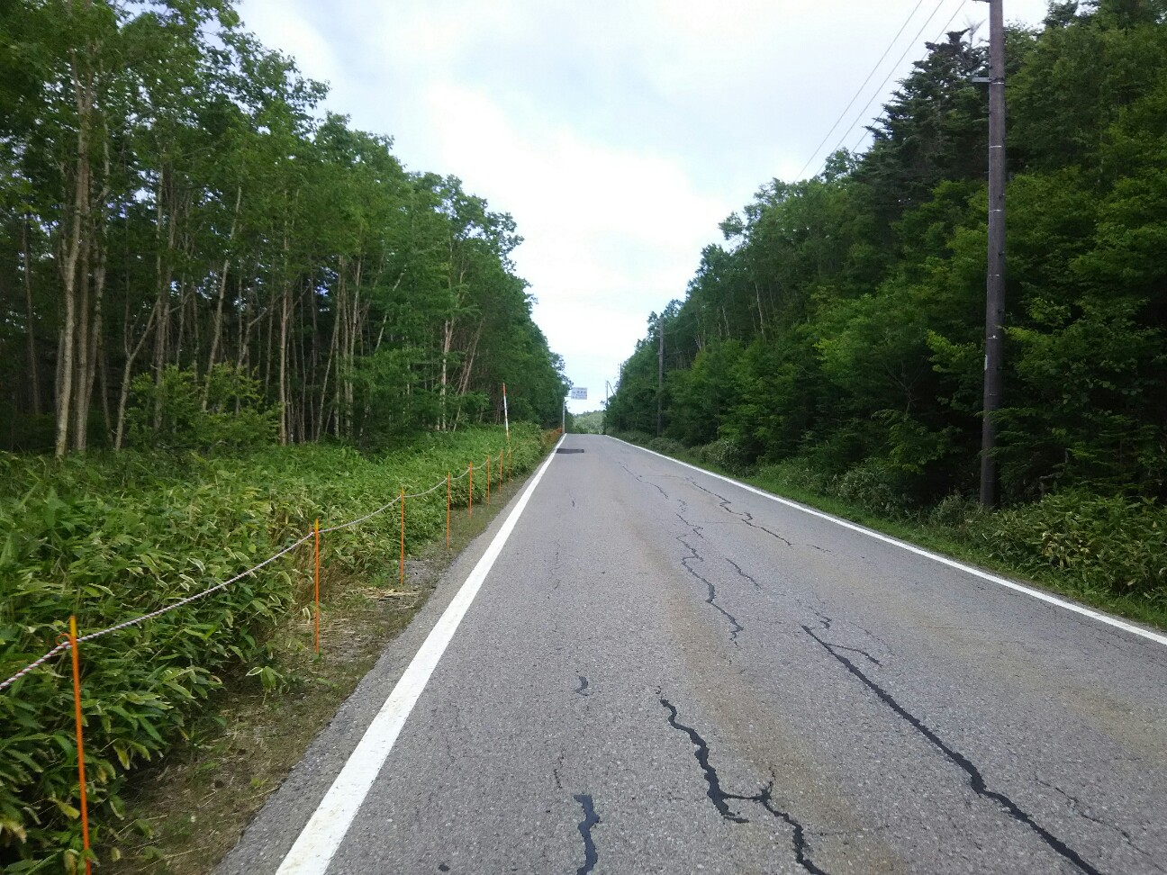 f:id:ikarugasan:20180719185329j:image f:id:ikarugasan:20180719185329j:image
