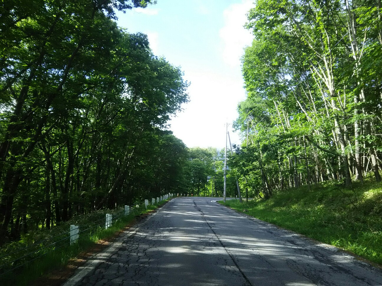 f:id:ikarugasan:20180719191008j:image f:id:ikarugasan:20180719191008j:image