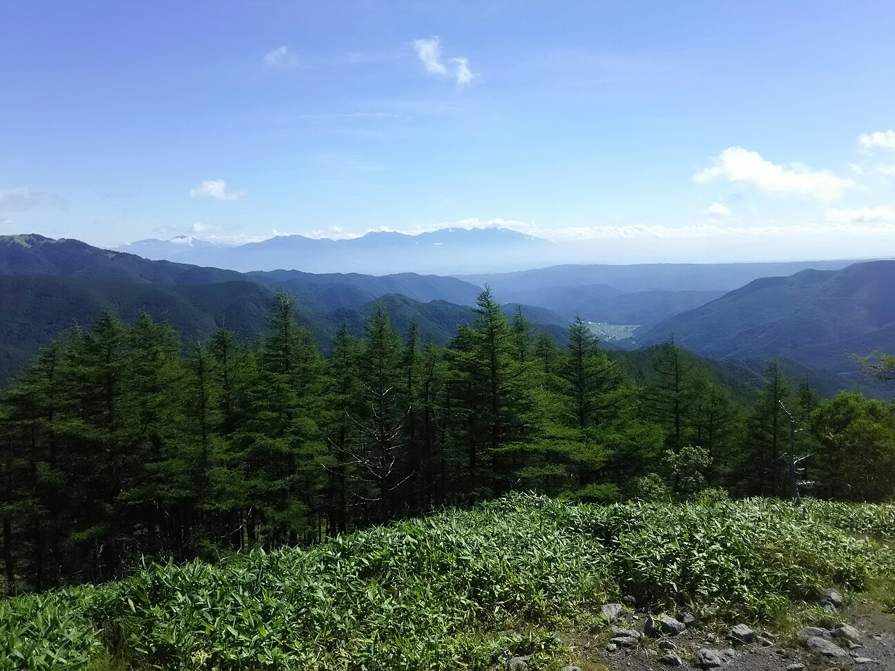 f:id:ikarugasan:20180720203745j:image f:id:ikarugasan:20180720203745j:image