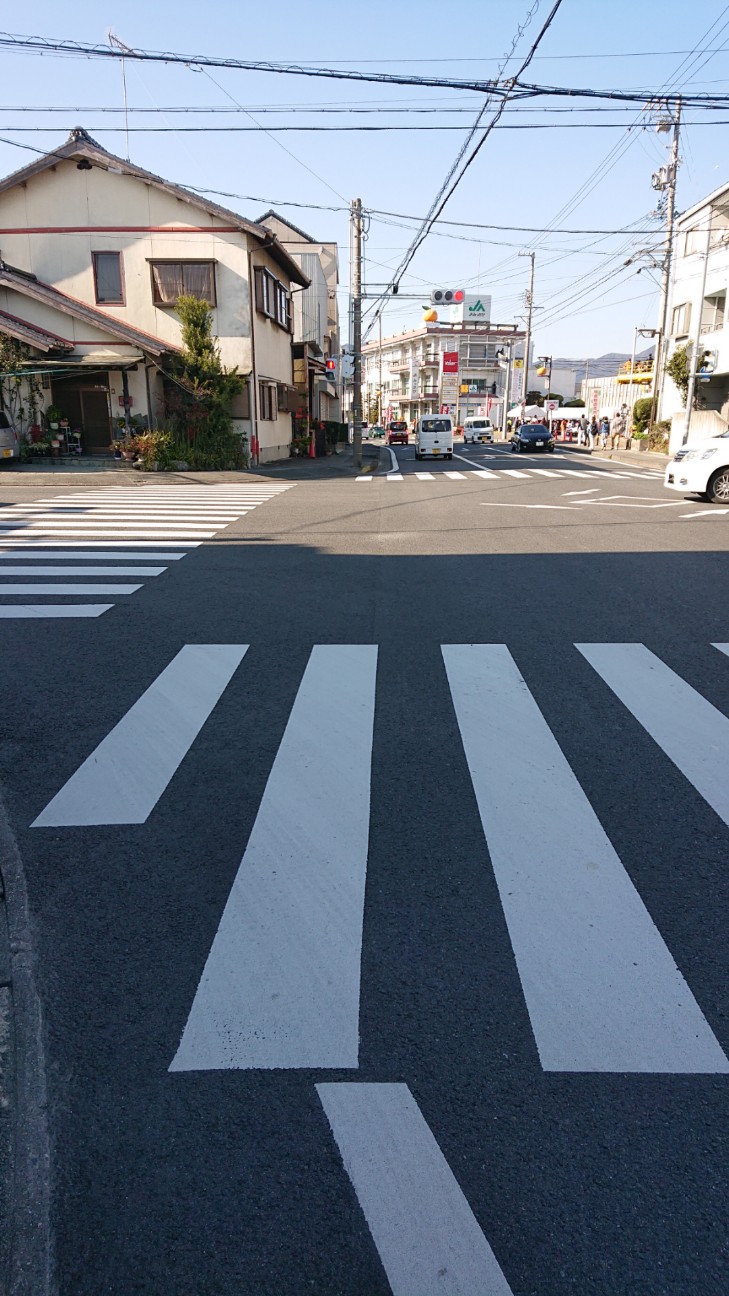 f:id:ikarugasan:20190115162138j:image f:id:ikarugasan:20190115162138j:image