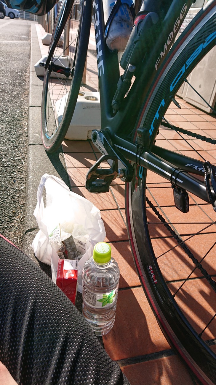 f:id:ikarugasan:20190115164234j:image f:id:ikarugasan:20190115164234j:image