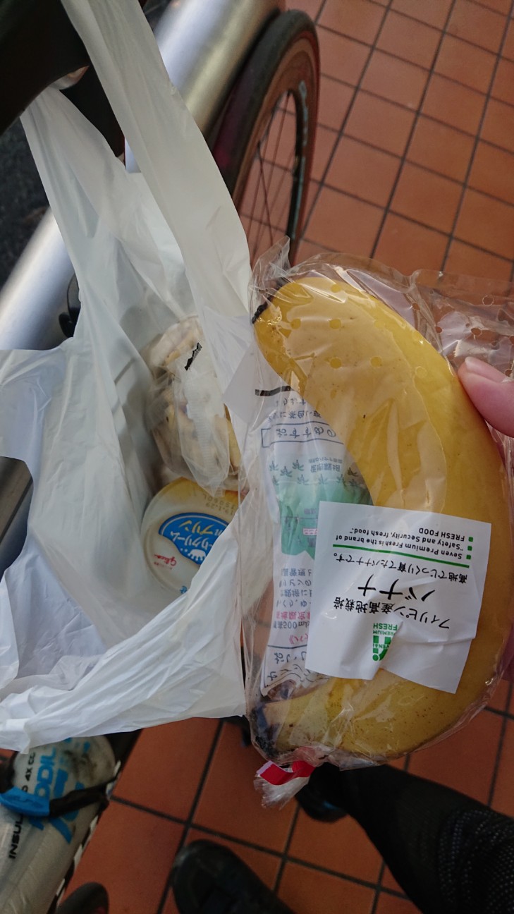 f:id:ikarugasan:20190115210953j:image f:id:ikarugasan:20190115210953j:image