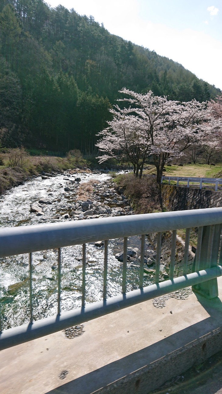 f:id:ikarugasan:20190518124325j:image f:id:ikarugasan:20190518124325j:image