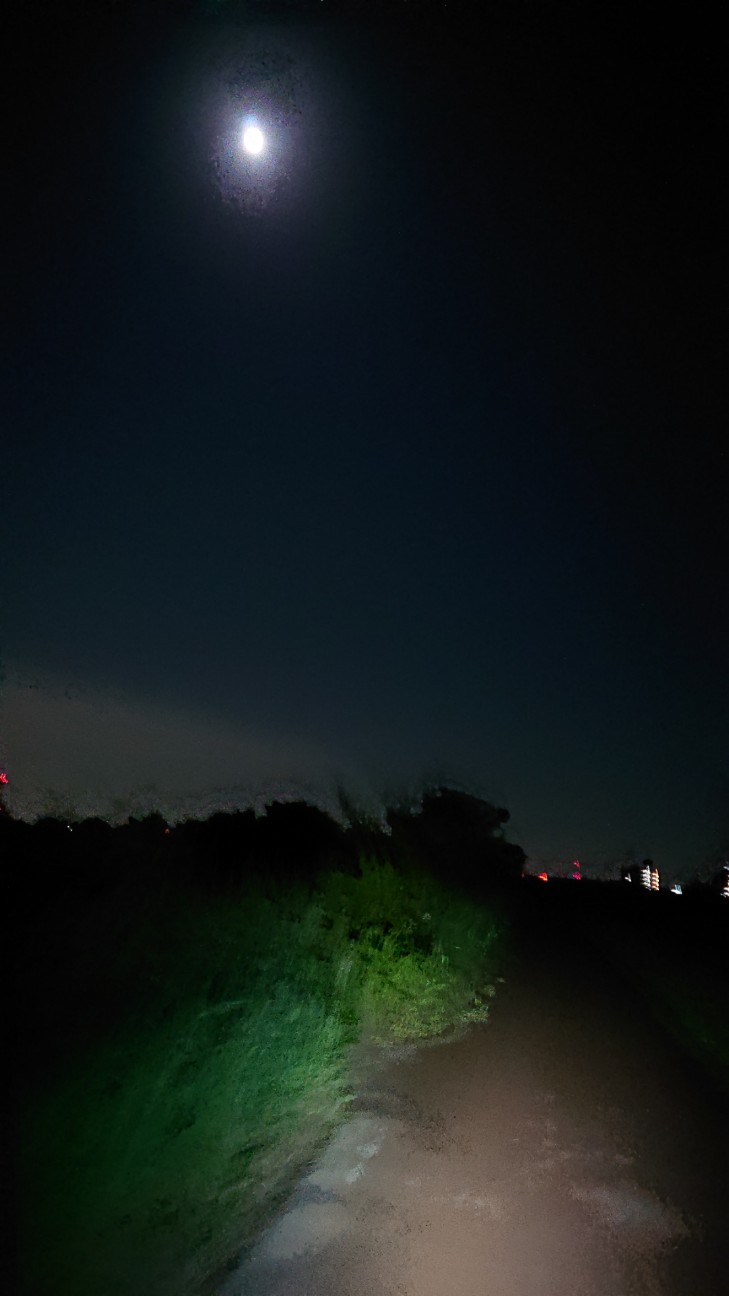 f:id:ikarugasan:20191016121942j:image f:id:ikarugasan:20191016121942j:image