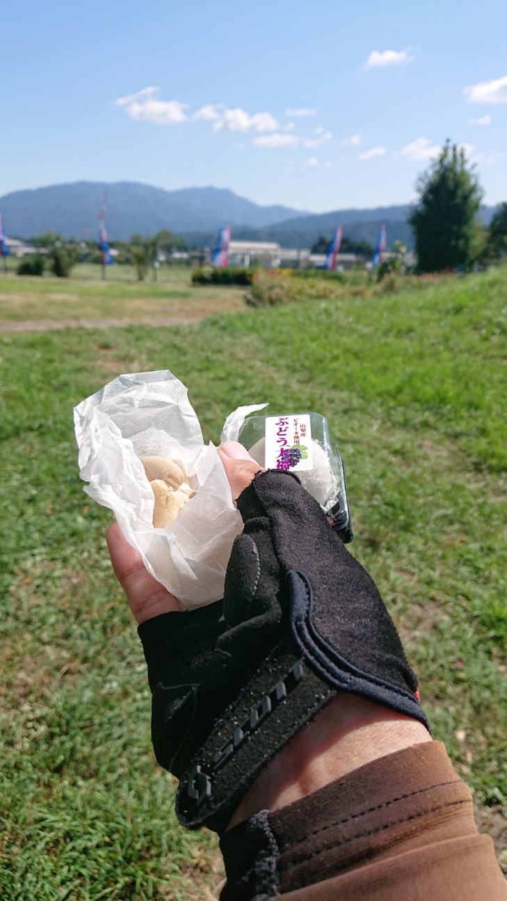 f:id:ikarugasan:20191016122438j:image f:id:ikarugasan:20191016122438j:image