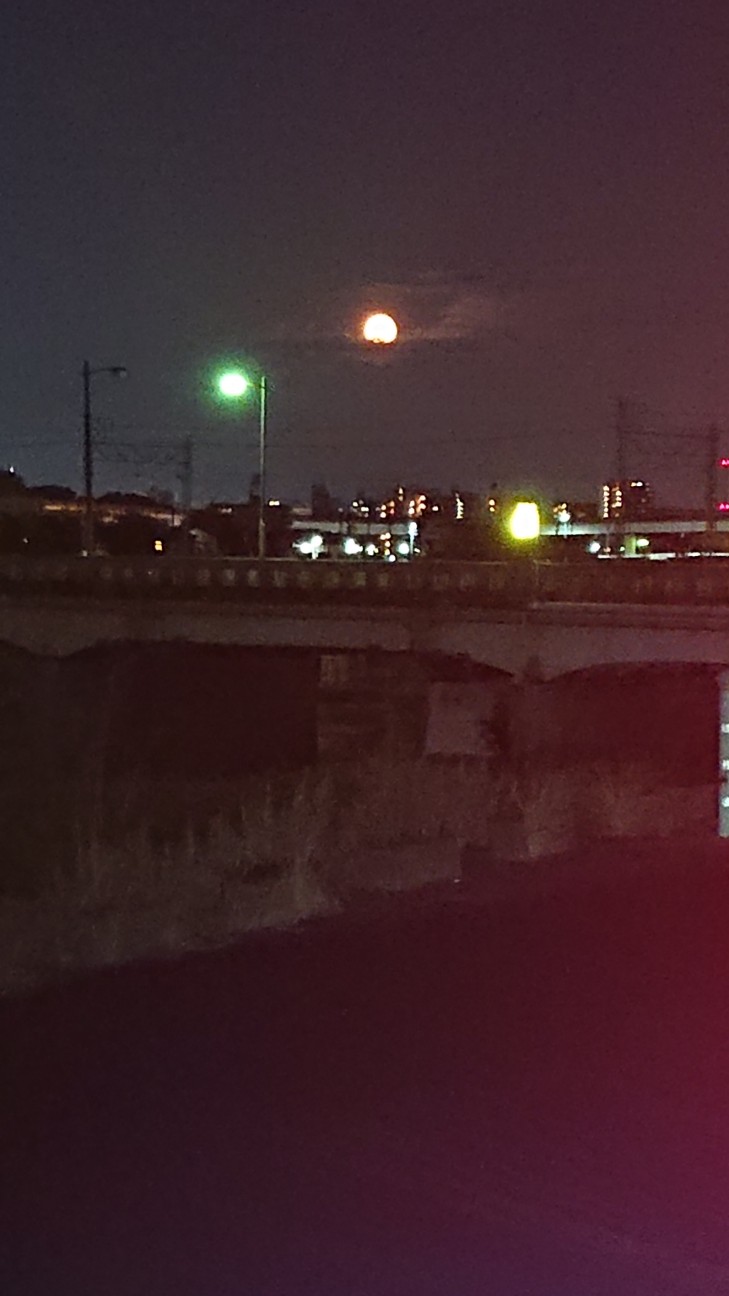 f:id:ikarugasan:20191016122557j:image f:id:ikarugasan:20191016122557j:image