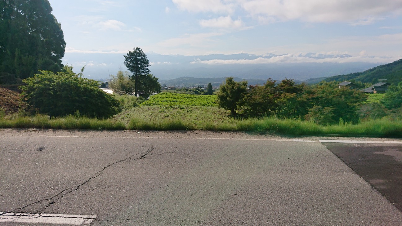 f:id:ikarugasan:20200626184139j:image