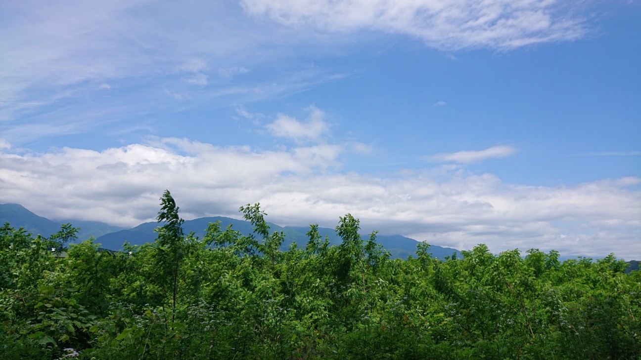 f:id:ikarugasan:20200626184231j:image