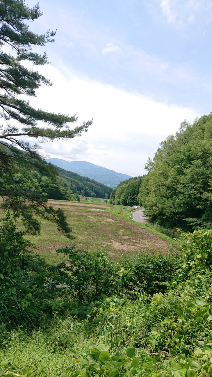 f:id:ikarugasan:20200626184345j:image