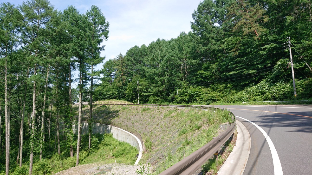 f:id:ikarugasan:20200626184700j:image