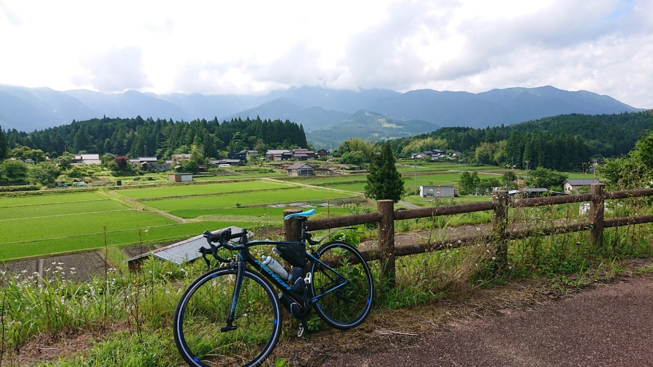 f:id:ikarugasan:20200626185119j:image