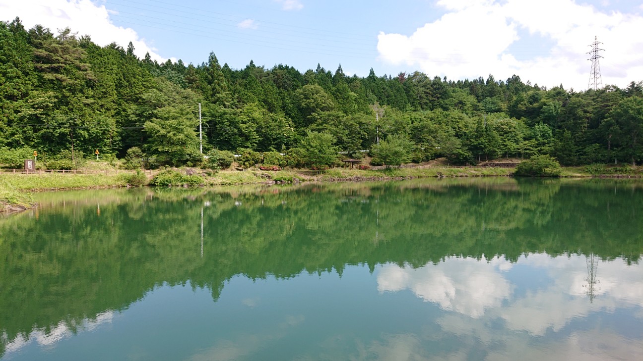 f:id:ikarugasan:20200626185136j:image