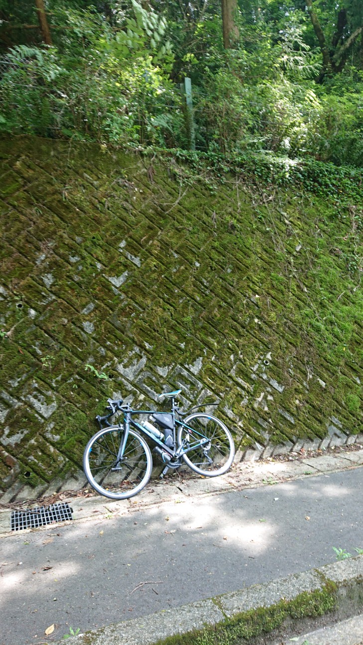 f:id:ikarugasan:20200626185209j:image