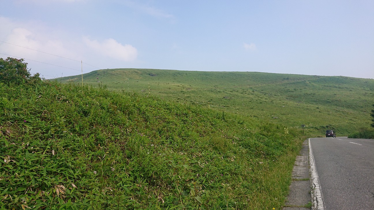 f:id:ikarugasan:20201230130348j:image