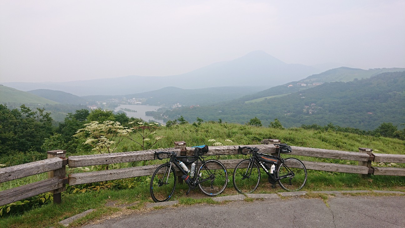 f:id:ikarugasan:20201230130418j:image