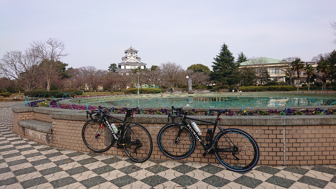 f:id:ikarugasan:20201230132150j:image