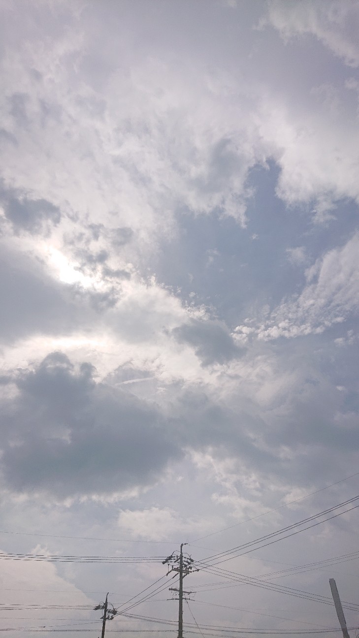 f:id:ikarugasan:20210304123014j:image f:id:ikarugasan:20210304123014j:image